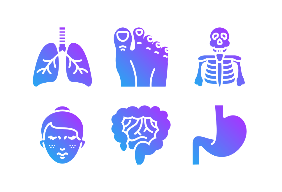 Human body Large Set Preview