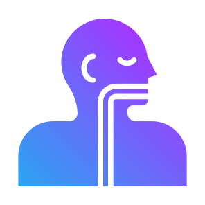 Esophagus, Human Body, Body Parts, Body Organ, Anatomy  icon