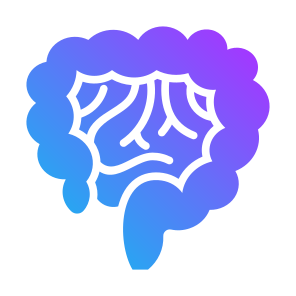 Intestine, Stomach, Bowels, Digestive System, Body Parts icon