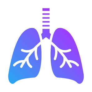 Lungs, Organ, Breath, Anatomy, Healthcare And Medical icon