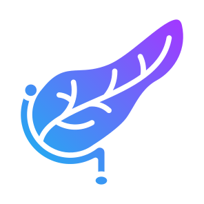 Pancreas, Human Body, Body Organ, Anatomy, Digestive System icon