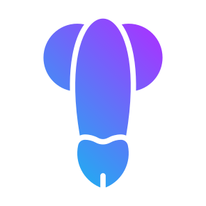 Penis, Reproductive System, Human Body, Body Parts, Anatomy icon