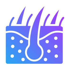 Skin, Hair, Follicle, Epidermis, Dermatology  icon