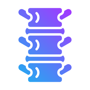 Spine, Bone, Skeleton, Spinal Column, Backbone  icon