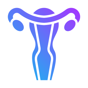 Uterus, Female Organs, Reproductive System, Ovaries, Anatomy icon