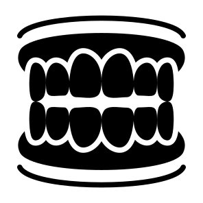 Dentures, Gum, Teeth, Tooth, Dental, Dental Care  icon