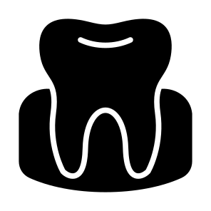 Gum, Anatomy, Dentistry, Enamel, Dental, Tooth  icon