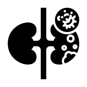 Kidney Cancer, Kidney, Illness, Tumor, Cancer Cell icon