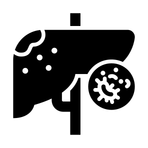 Liver Cancer, Liver, Disease, Cell, Organ icon