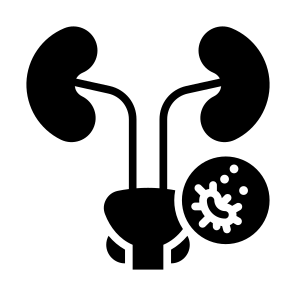 Prostate Cancer, Cancer, Prostate, Tumor, Cancer Cell  icon