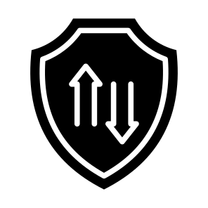 Protection, Security, Secure, Data Transfer,  Safety  icon