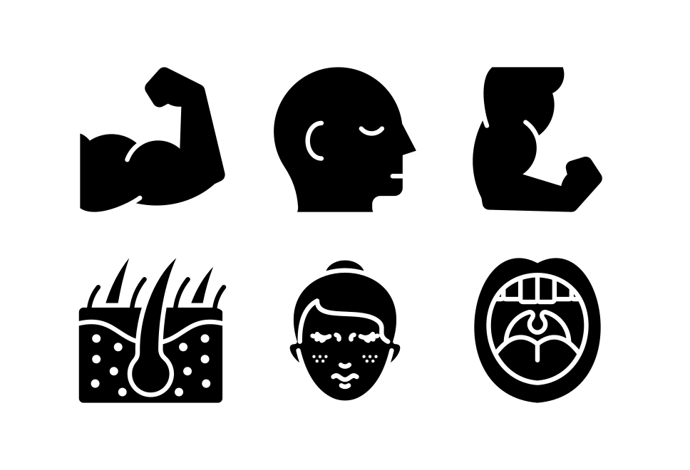 Human body Large Set Preview