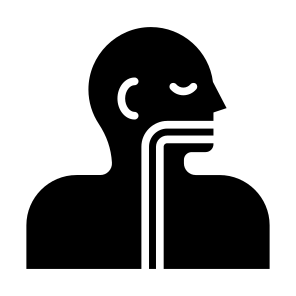 Esophagus, Human Body, Body Parts, Body Organ, Anatomy  icon