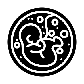 Fetus, Pregnant, Reproduction, Fertility, Pregnancy icon