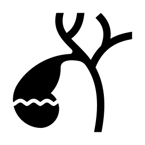 Gallbladder, Body Organ, Anatomy, Digestive System, Bile icon