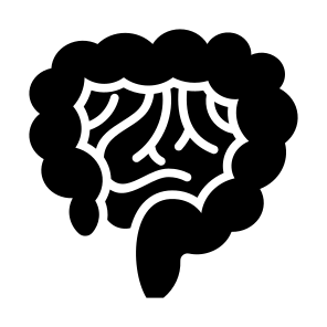 Intestine, Stomach, Bowels, Digestive System, Body Parts icon