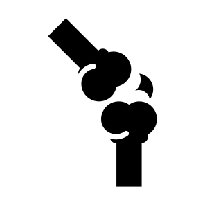 Joint, Bone, Knee, Orthopedics, Osteoporosis, Arthritis  icon