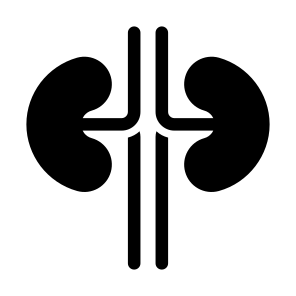Kidneys, Urology, Human Body, Organ, Anatomy icon