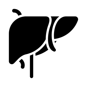 Liver, Organ, Body Organ, Anatomy, Body Part icon