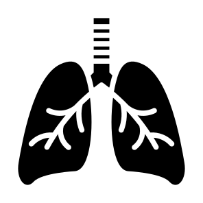 Lungs, Organ, Breath, Anatomy, Healthcare And Medical icon