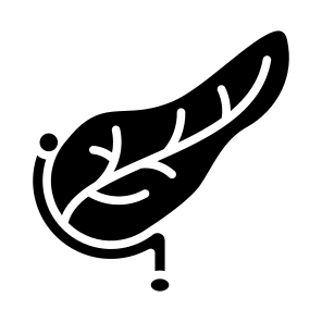 Pancreas, Human Body, Body Organ, Anatomy, Digestive System icon