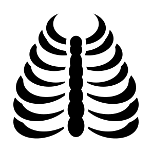 Rib Cage, Bones, Body Part, Skeleton, Human Body  icon