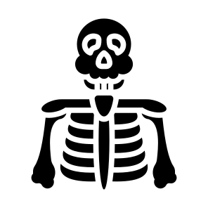 Skeleton, Bones, Skull, Human Body, Anatomy icon