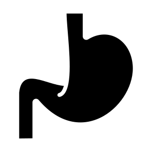 Stomach, Body Parts, Body Organ, Gastroenterology, Digestive System icon