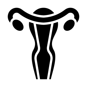 Uterus, Female Organs, Reproductive System, Ovaries, Anatomy icon
