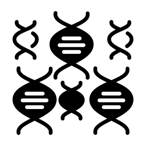 Dna, Biology, Dna Structure, Science, Genetical, Deoxyribonucleic Acid, Healthcare, Medical, Education icon