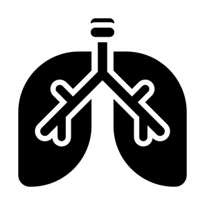 Lung, Body Part, Organ, Human Body, Respiratory System  icon
