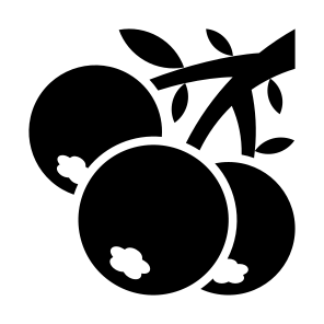 Blueberry, Fruit, Vegetarian, Healthy Food, Food And Restaurant icon