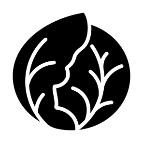 Cabbage, Vegetable, Vegetarian, Healthy Food, Food And Restaurant icon