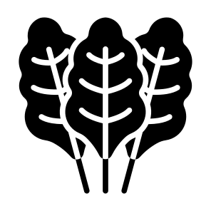 Chard, Vegetable, Vegetarian, Healthy Food, Food And Restaurant icon