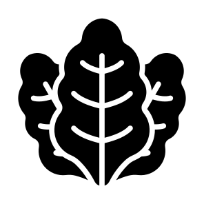 Kale, Vegetable, Vegetarian, Healthy Food, Food And Restaurant icon