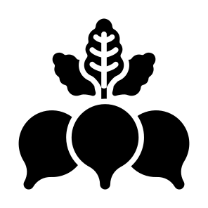 Radish, Vegetable, Vegetarian, Food, Food And Restaurant icon