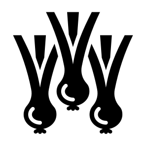 Spring Onion, Vegetable, Vegetarian, Healthy Food, Food And Restaurant icon