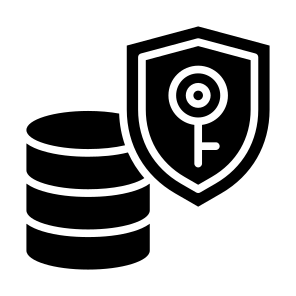 Security Server, Database, Security, Server, Protection, Lock  icon