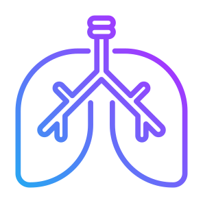 Lung, Body Part, Organ, Human Body, Respiratory System  icon