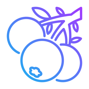 Blueberry, Fruit, Vegetarian, Healthy Food, Food And Restaurant icon