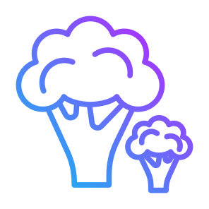 Broccoli, Food, Vegetarian, Vegetable, Food And Restaurant icon