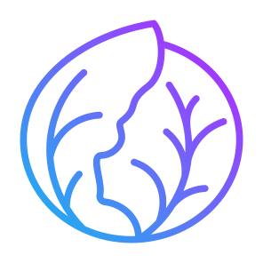 Cabbage, Vegetable, Vegetarian, Healthy Food, Food And Restaurant icon