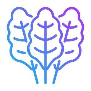 Chard, Vegetable, Vegetarian, Healthy Food, Food And Restaurant icon