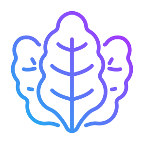 Kale, Vegetable, Vegetarian, Healthy Food, Food And Restaurant icon