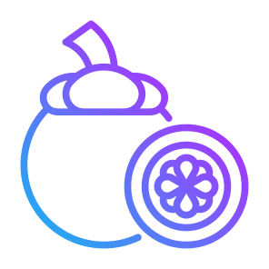 Mangosteen, Fruit, Food, Healthy Food, Food And Restaurant icon