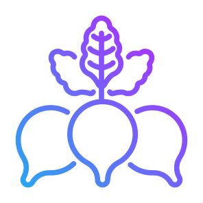 Radish, Vegetable, Vegetarian, Food, Food And Restaurant icon