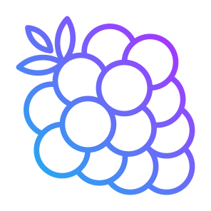 Raspberry, Fruit, Vegetarian, Healthy Food, Food And Restaurant icon