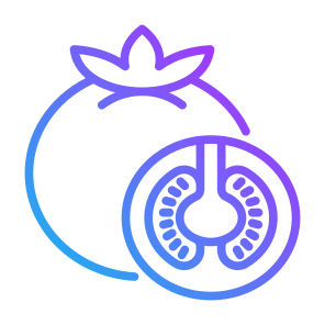 Tomato, Vegetable, Vegetarian, Food, Food And Restaurant icon