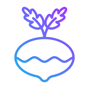 Turnip, Vegetable, Vegetarian, Healthy Food, Food And Restaurant icon