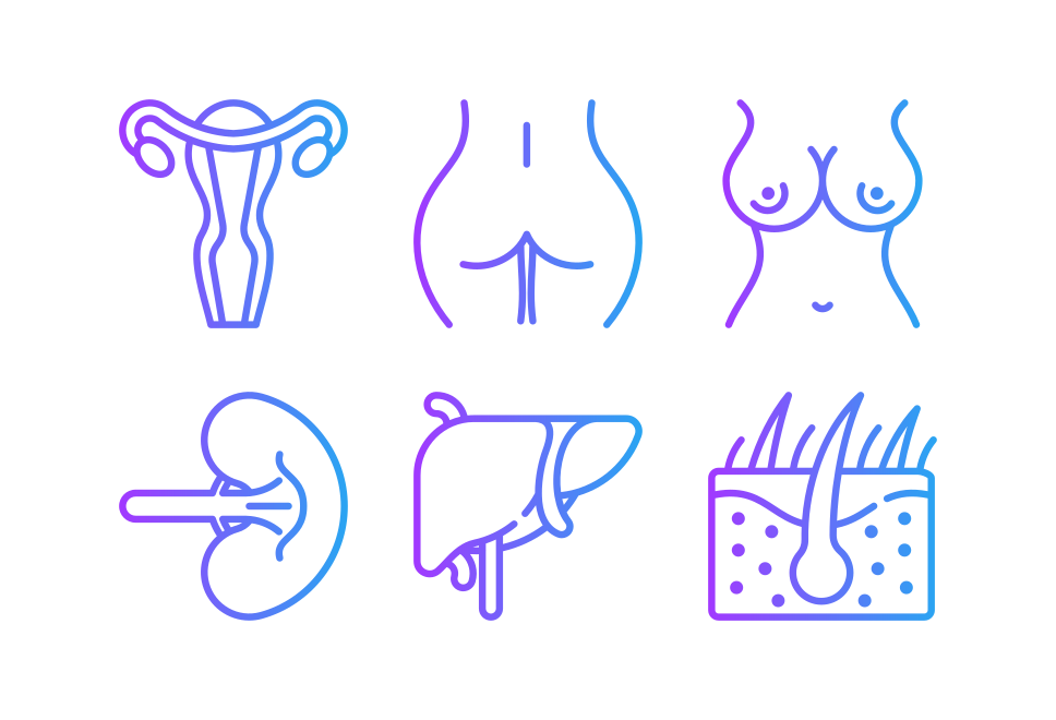 Human body Large Set Preview